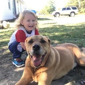 Meet your Posher, Dale